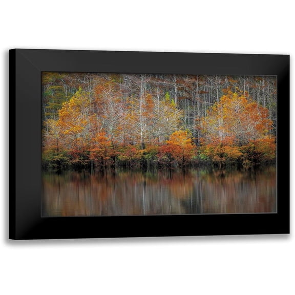 Burt, D. 14x11 Black Modern Framed Museum Art Print Titled - Autumn Cypress