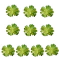 thumbnail image 2 of 10x Fake Succulents Small Vivid Useful Simulated Plants Multi-functional Lifelike Photo Props for Household Yards Lawn Flowerpot Type 9, 2 of 9