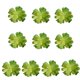 thumbnail image 1 of Plantas artificiales Monstrate 10 piezas tipo suculentas, 1 of 6