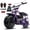 Purple, variant on FRP GMB100 Mini Dirt Bike 99cc 4-Stroke, Gas Off-Road Mini Bike for Ages 13+, Pull Start, Rear Disc Brake, All-Terrain Tires, Supports up to 220 lbs - Black