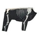 thumbnail image 3 of Disfraz de esqueleto de perro para Halloween, disfraz para mascotas, cómodo, accesorios para sesiones de fotos, genial L, 3 of 9