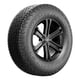 thumbnail image 1 of Llanta 265/50r20 Bf Goodrich Trail Terrain 107h BF GOODRICH TRAIL TERRAIN T/A, 1 of 2