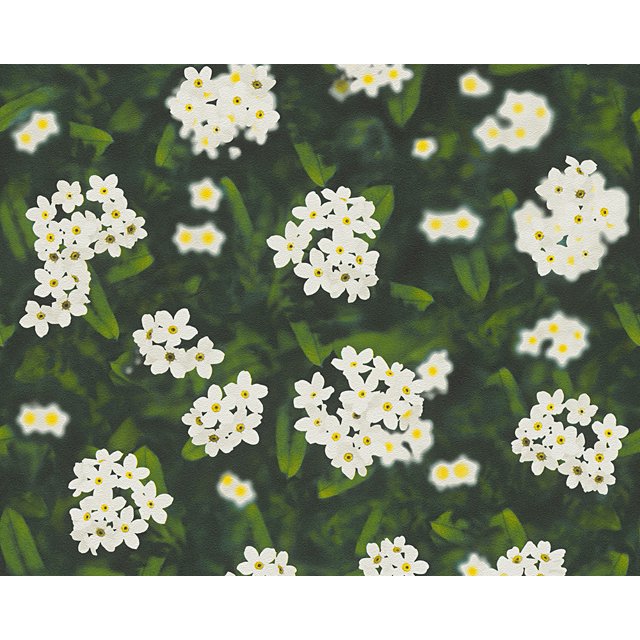 Dekora Natur 6 - Rouleau de Papier Peint Vert, Blanc Naturellement Multifacette
