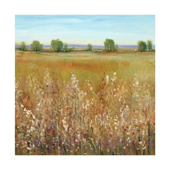 Tim OToole 'Abundance of Wildflowers I' Canvas Art