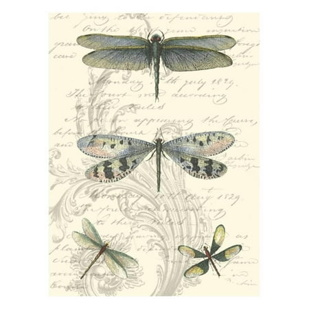 Pointillism Dragonfly Print - Dragonfly Delight II Print Wall Art