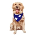 View all media
