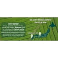 thumbnail image 3 of Jade Leaf Matcha Bamboo Whisk & Scoop, 3 of 8