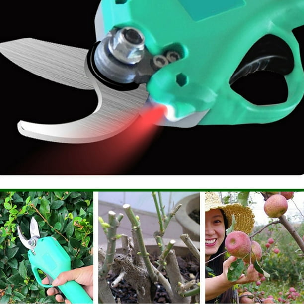 Professional cordless 2024 electric pruning shears