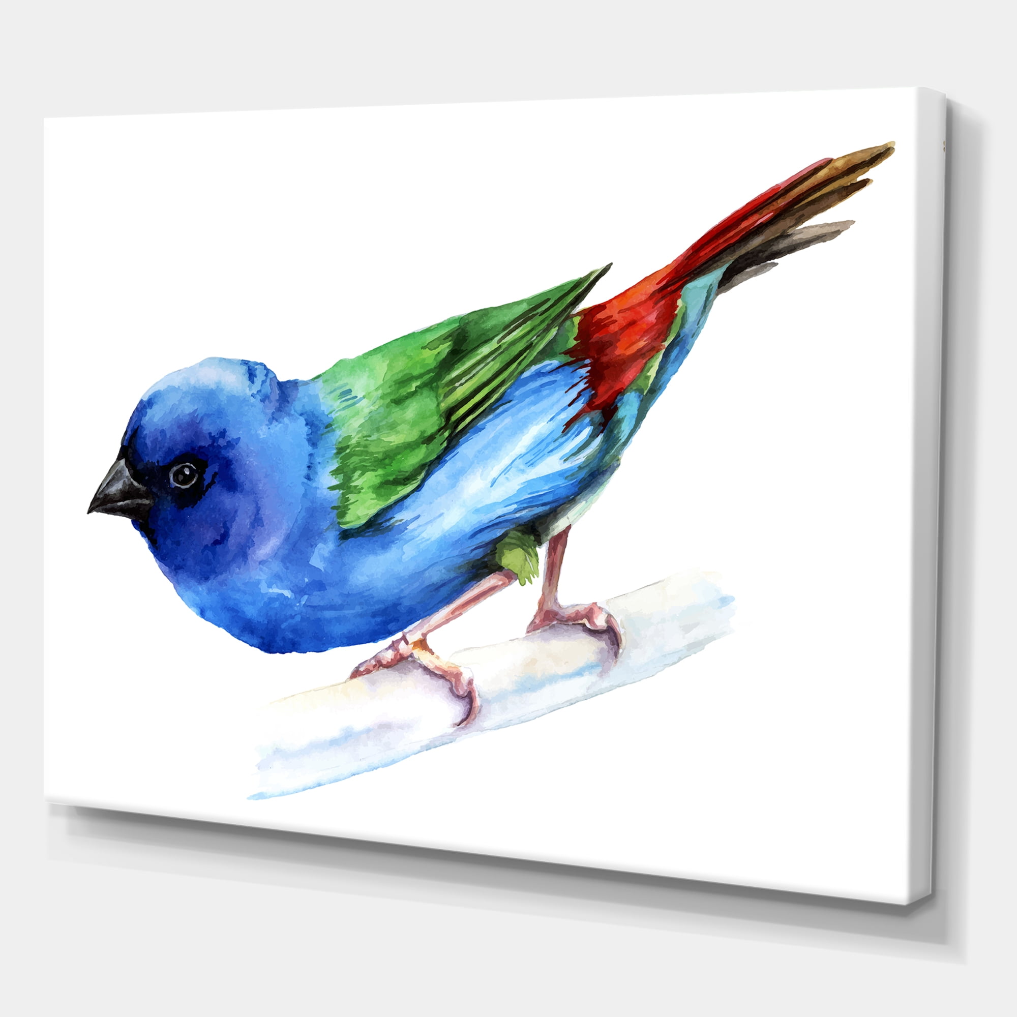 Designart ' Forbes Finch Bird On Branch ' Traditional Canvas Wall Art Print