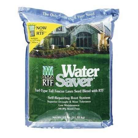 Barenbrug  Water Saver  Tall Fescue  Sun & Shade  Grass Seed  25 (Best Fescue Seed For Shade)