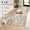 Blue/Brown, variant on Washable 8x10 Area Rug – Modern Neutral Abstract Soft Non-Slip Stain-Resistant Low Pile Thin Carpet for Living Room Bedroom Dining Room Home Office (Blue Brown)