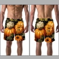 thumbnail image 3 of luoweisi Men's Beach Shorts Quick Dry Swim Trunks with Mesh Lining Thanksgiving Pumpkin S, 3 of 5