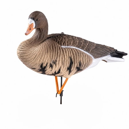 EHJRE Goose Decoy with Stake Realistic Goose Model Hand-Painted Waterfowl Attractants 49-20-28cm
