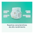 thumbnail image 4 of Pañales para nadar premium Rascals Etapa Chica Unisex 16 piezas, 4 of 4