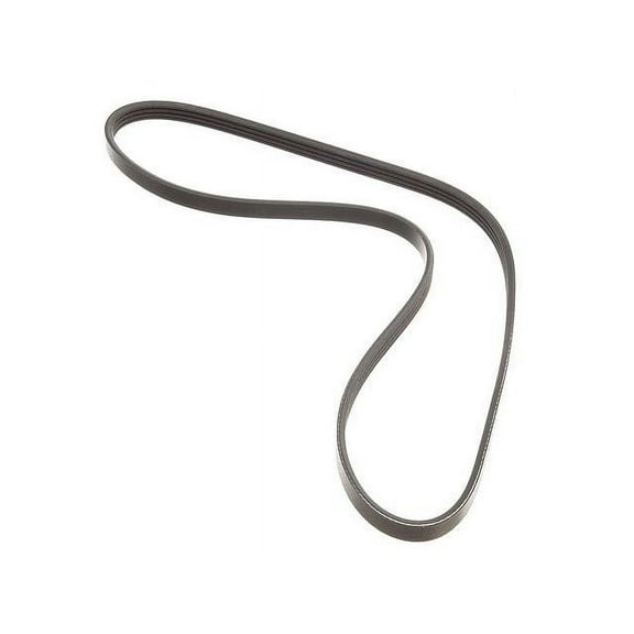 Multi Rib Belt - Compatible with 2001 - 2004 Chevy Tracker 2.5L V6 2002 2003