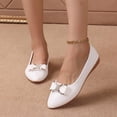 thumbnail image 2 of Wensltd Women Solid Color Ballet Flats Elegant Pointed Toe Lightweight Low Heel Shoes, 2 of 8