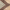 Tan, variant on Chesapeake Davenport 2 Pc Bath Rug Set in Grey 21" x 34" & 24" x 40"