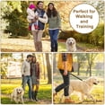 thumbnail image 4 of Correa de piel Guiding Star de 6 pies para perros grandes y medianos, 4 of 6