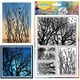 thumbnail image 1 of Sellos de silicona transparentes de gran tamaño con forma de pájaros para manualidades, álbumes de recortes, tarjetas y decoración en papel (6,3 × 4,3 pulgadas)., 1 of 9