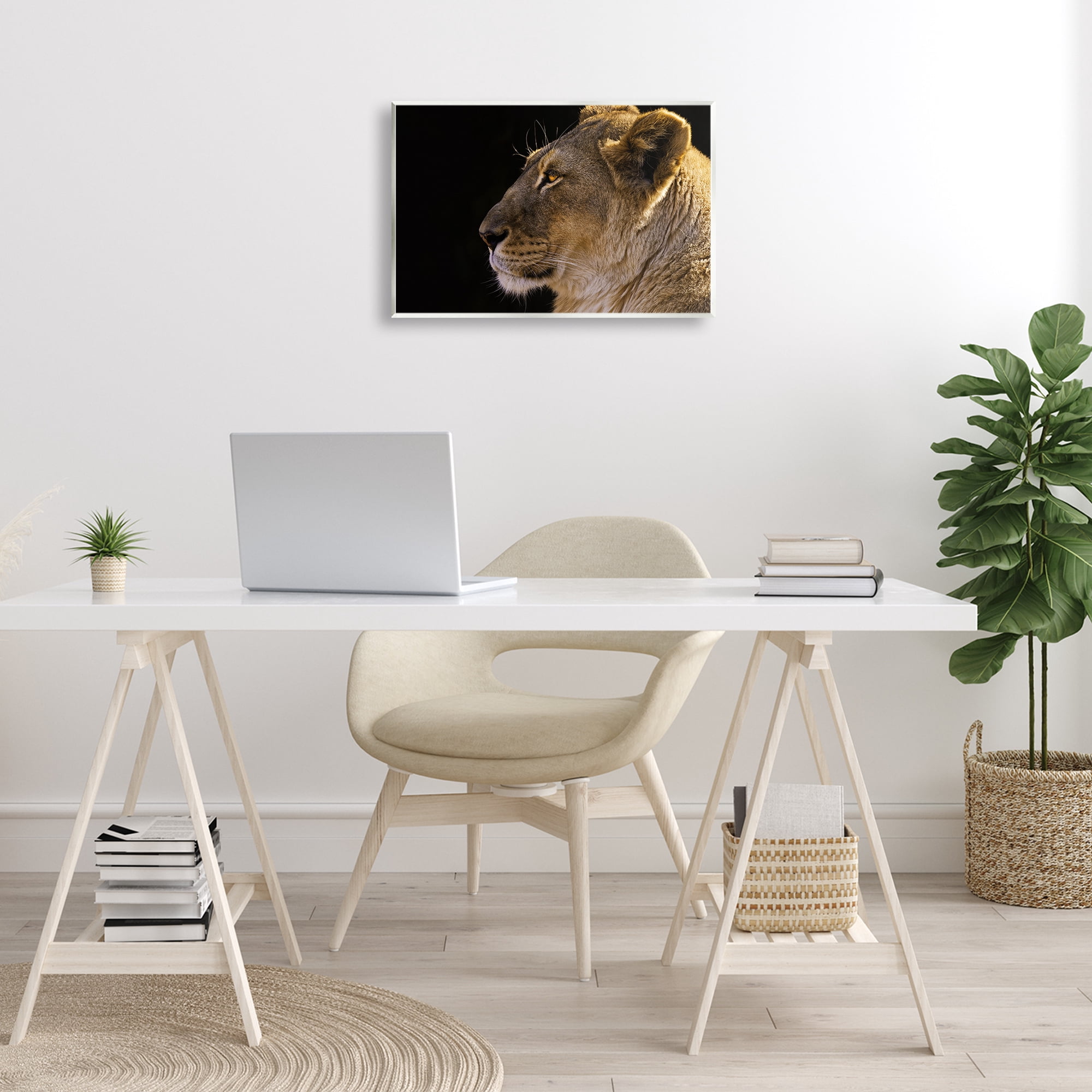 Stupell Industries Fierce Lion Looking Left Animals Photography Unframed Art Print Wall Art, 19 x 13