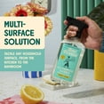 thumbnail image 2 of Aunt Fannie's Cleaning Spray Variety Pack, 2 of 7