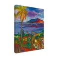 thumbnail image 3 of Trademark Fine Art Manor Shadian Pacific Peaceful Shores Canvas Wall Art - 24x32, 3 of 5