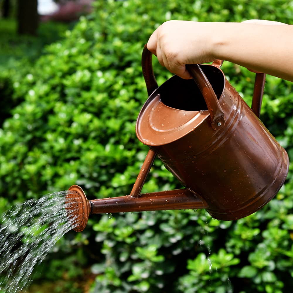 Metal Watering Can for Outdoor and Indoor Plants, Watering Can Decor, 1 Gallon - 001 COPPER