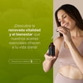 thumbnail image 3 of Aceite Esencial De Bergamota | 120 ml | Ingredientes Puros y Naturales | Bergamot Essential Oil | B Life., 3 of 7