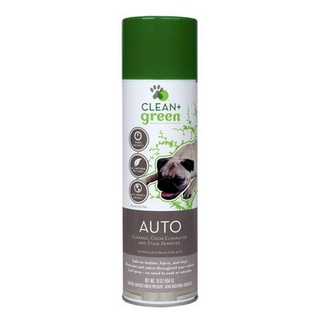 Clean+Green Auto Odor and Stain Remover