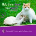 thumbnail image 5 of L-LYSINE CHEWS FOR CATS, 5 of 6
