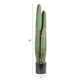 thumbnail image 2 of Creative Co-Op Round Faux Pachycereus Cactus in Plastic Pot, Green, 2 of 4