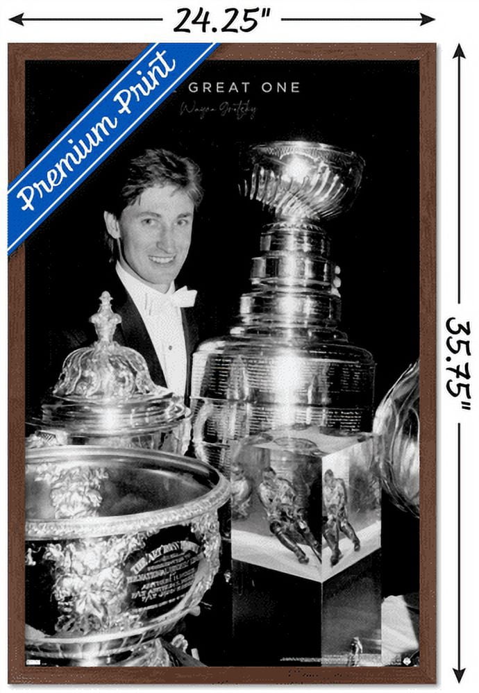 Wayne Gretzky - Trophies Wall Poster, 22.375" x 34", Framed