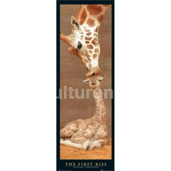 Posterazzi IMPSP508 First Kiss - Giraffes Poster Print - 36 x 12 in.
