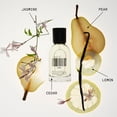 thumbnail image 3 of Perfume DedCool Aura Eau de Parfum 50 ml para hombre y mujer, 3 of 5