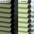 thumbnail image 2 of LazBlinds Cordless Cellular Shades, No Tools No Drill Blackout Honeycomb Shades Pleated Blinds for Windows, 32" W x 64" H, Green, 2 of 5