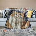 thumbnail image 2 of BCIIG Cat Blanket for Adults,   Cat Throw Blanket for Women Cat Lovers, Funny Cat Mom Gifts for Women, Cat Themed Gift Blankets, Cat Gifts Blanket on Birthday 50x60in, 2 of 6