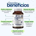 thumbnail image 3 of Pack 3 Frascos Magnesio NUTRIENTES VIDALABS MÉXICO Ultra nutrientes 180 cápsulas, 3 of 5