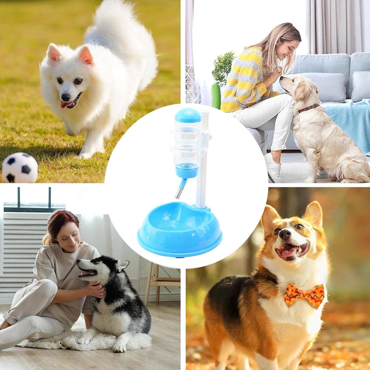 Upright Adjustable Dog Water Fountain, Splash Proof Detachable Bowl, Height Stand, Indoor Outdoor