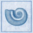 thumbnail image 2 of Chilton, Sarah E 15x15 Black Ornate Wood Framed with Double Matting Museum Art Print Titled - Blue Nautilus D, 2 of 4