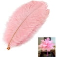 thumbnail image 6 of 10 Pack Natural Ostrich Feathers, 10-12 in (25-30cm) Crafts DIY Plume Feather for Centerpieces Home Wedding Party Table Decoration - Pink, 6 of 7