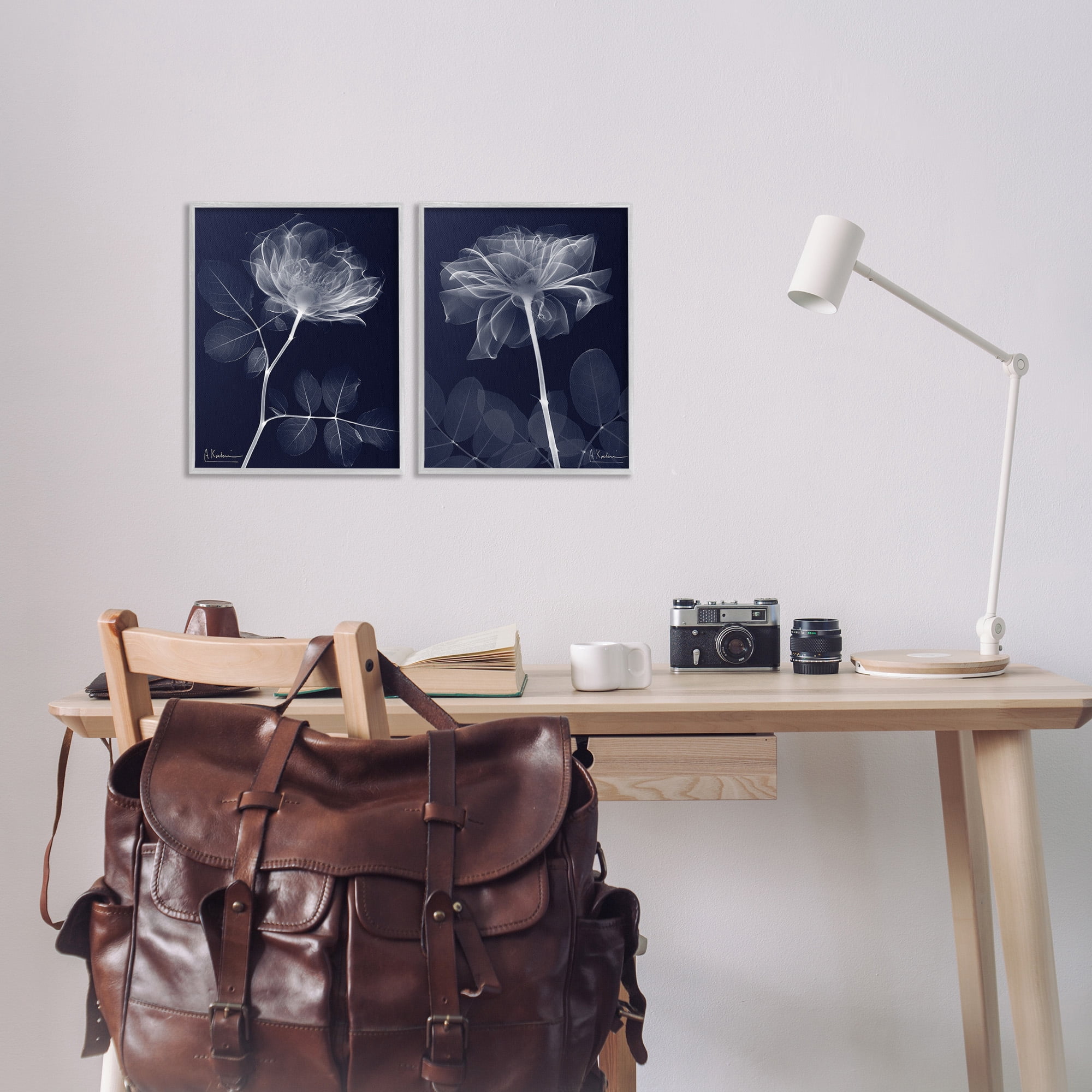 Stupell Industries X-Ray Blossom on Black Botanical & Floral Photography Gray Framed Art Print Wall Art, 11 x 14, Set of 2
