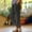 *Black, variant on ClodeEU Women's Elastic Waist Linen Capri Pants With Pockets,Casual Lightweight Loose Pant With Button Slit Black,Womens Plus M