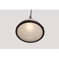 thumbnail image 7 of Hudson Valley Lighting 2622 Randolph 1 Light 10" Wide Pendant - Bronze, 7 of 7