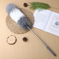TUIBELY Duster With Extension Pole Microfiber Duster Dust Cleaner
