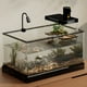 thumbnail image 5 of Herramientas y mejoras para el hogar Plataformas para tortugas Plataformas grandes de acrílico para terrarios Acuario Accesorios para tomar el sol para tortugas acuáticas Reptiles y anfibios Tanque pa, 5 of 7
