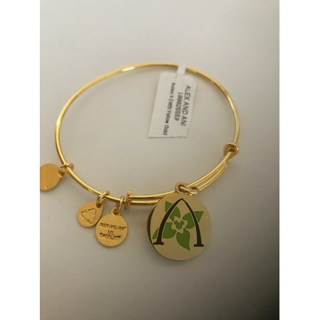 Disney Alex and Ani Hawaii Aulani Resort Mickey Gold Finish Bracelet New with (Best Disney World Resort For Toddlers)