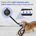 thumbnail image 5 of Ventosa para Baño de Perros con Correa de Sujeción, Correa de Nailon de Alta Elasticidad con Potente Ventosa para Mascotas., 5 of 5