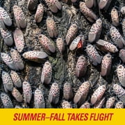 PIC Spotted Lantern Fly Insect Trap 20 ft