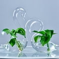 thumbnail image 4 of 1PC Transparent Glass Swan Vase for Valentine Wedding Lovers Gift Household Home Decor, 4 of 8