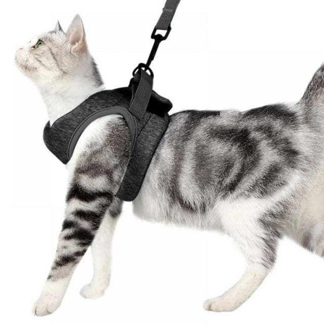 Arnés para gatos para pasear, chaleco ajustable y suave a prueba de fugas, chaqueta transpirable de fácil control (S: 1.0-3 kg)